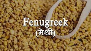 Fenugreek Seeds in Hindi – मेथी के फायदे और नुकसान
