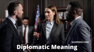 Diplomatic Meaning in Hindi