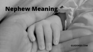 Nephew Meaning in Hindi