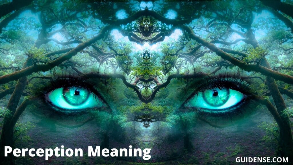 Perception Meaning