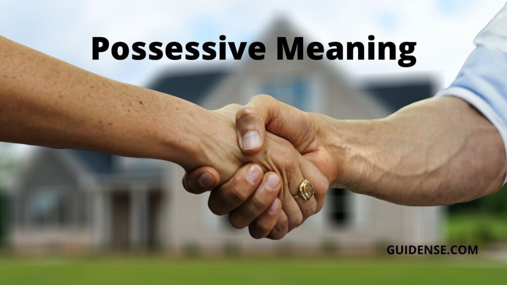 Possessive Meaning