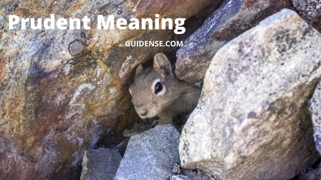 Prudent Meaning