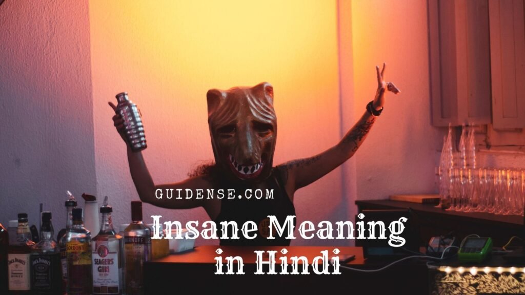 insane meaning