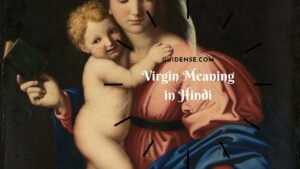 Virgin Meaning