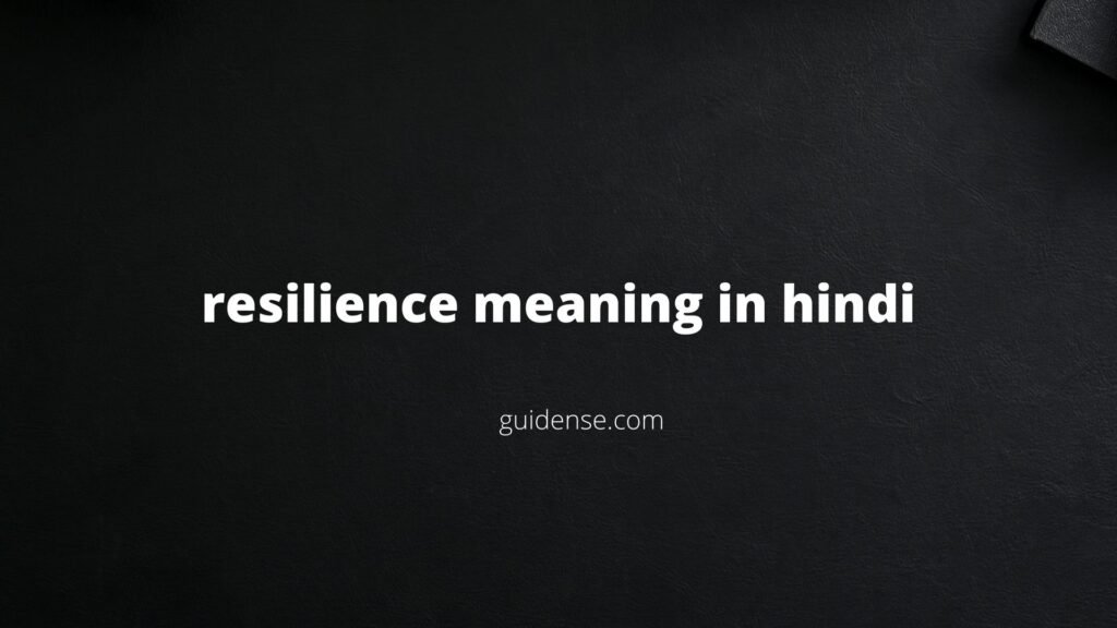 resilience meaning in hindi