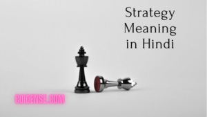 Strategy Meaning in Hindi