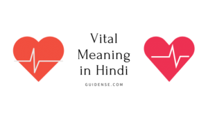 Vital Meaning in Hindi
