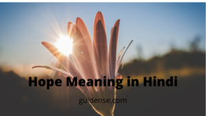 Hope Meaning in Hindi