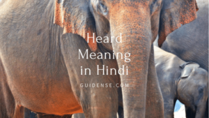Heard Meaning in Hindi