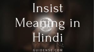 Insist Meaning in Hindi