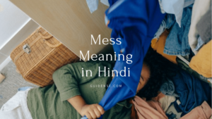 Mess Meaning