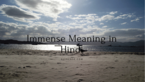 Immense Meaning in Hindi