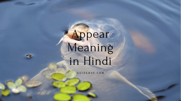 Appear Meaning