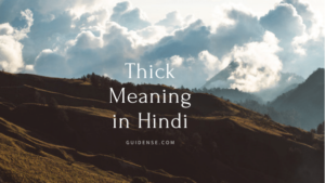 Thick Meaning in Hindi