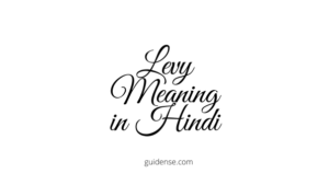 Levy Meaning in Hindi