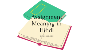 Assignment Meaning