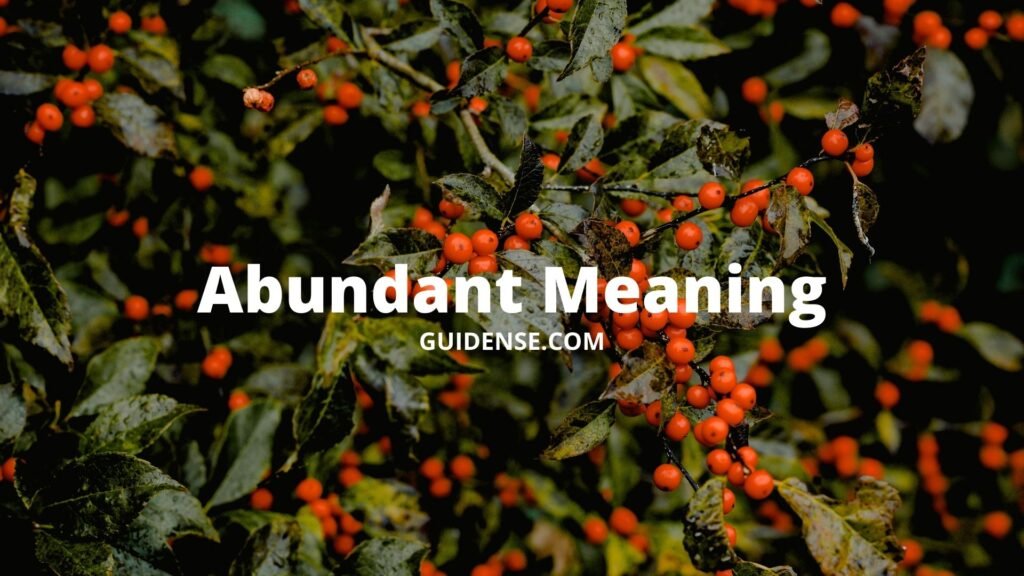 Abundant Meaning