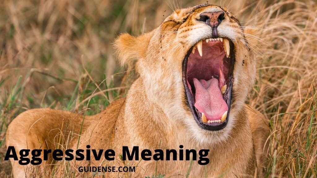 Aggressive Meaning