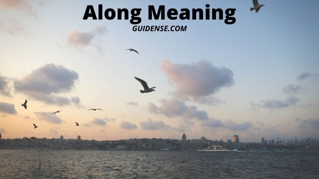 Along Meaning
