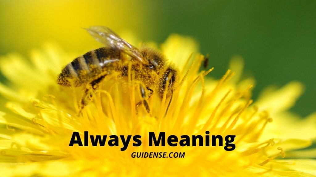 Always Meaning