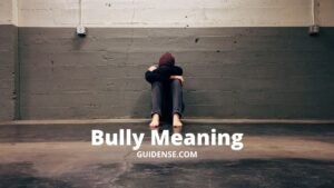 Bully Meaning in Hindi