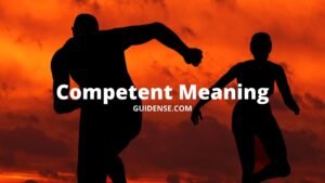 Competent Meaning in Hindi