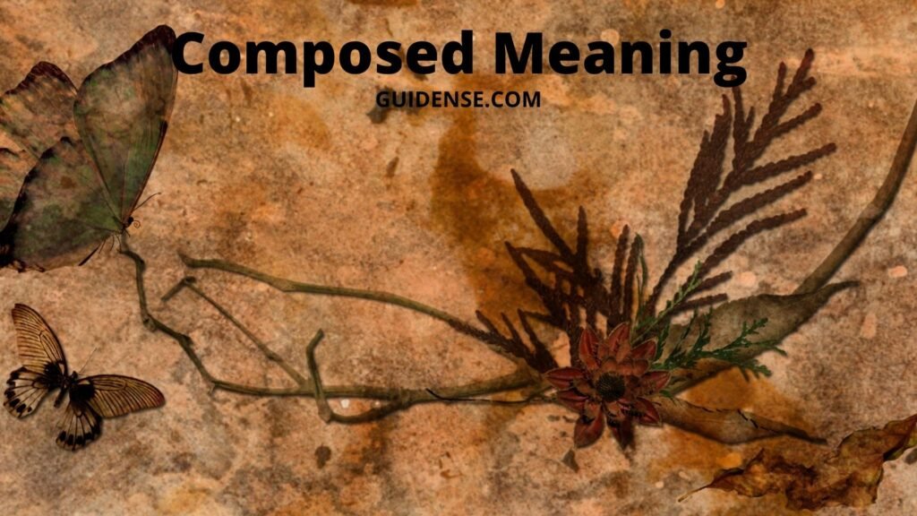 Composed Meaning