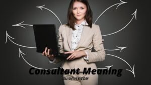 Consultant Meaning in Hindi