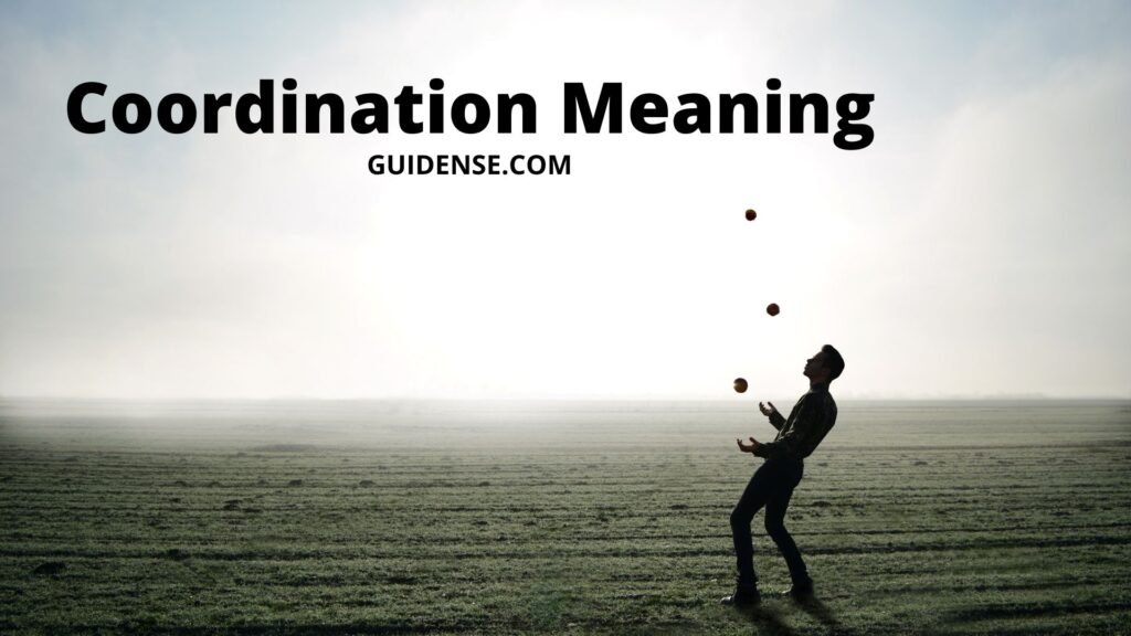 Coordination Meaning