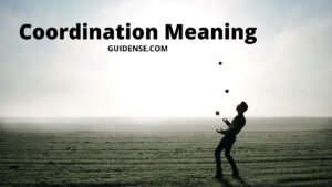 Coordination Meaning in Hindi