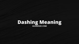Dashing Meaning in Hindi