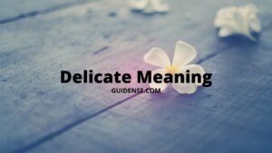 Delicate Meaning