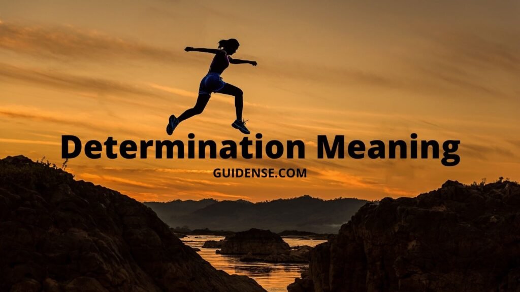 Determination Meaning