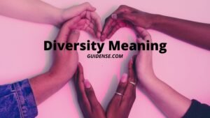 Diversity Meaning in Hindi