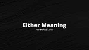 Either Meaning in Hindi