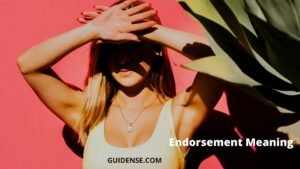 Endorsement Meaning in Hindi