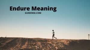 Endure Meaning in Hindi