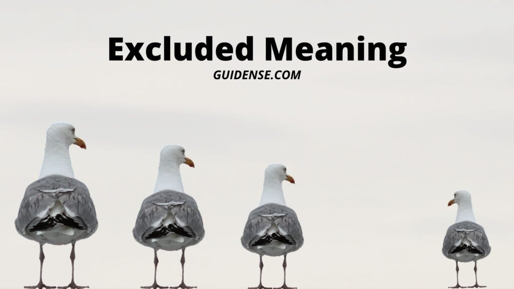 Excluded Meaning
