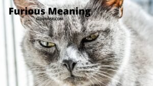 Furious Meaning