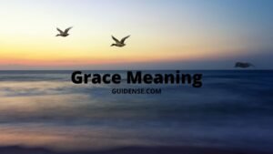 Grace Meaning in Hindi