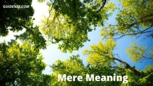 Mere Meaning in Hindi