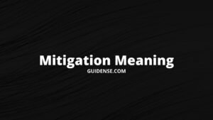 Mitigation Meaning