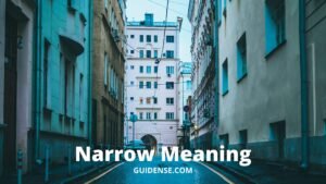 Narrow Meaning in Hindi