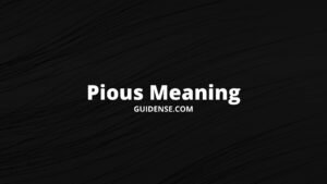 Pious Meaning