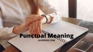 Punctual Meaning in Hindi