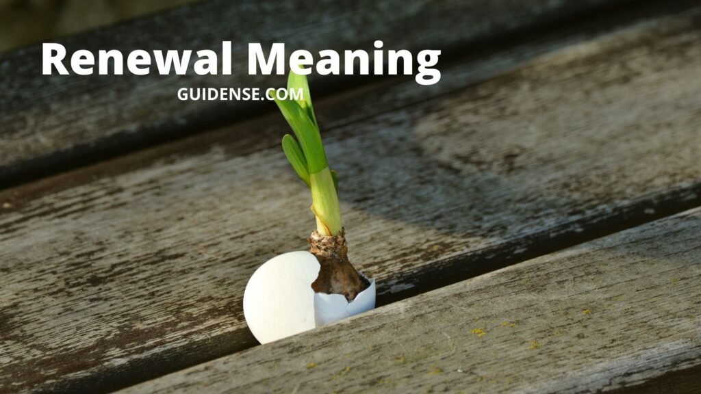 Renewal Meaning