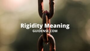 Rigidity Meaning in Hindi