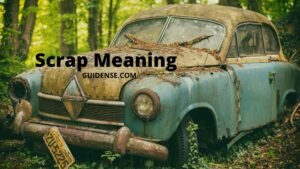 Scrap Meaning in Hindi