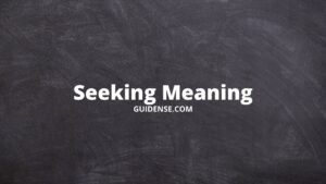 Seeking Meaning in Hindi