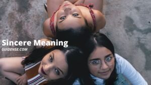 Sincere Meaning in Hindi